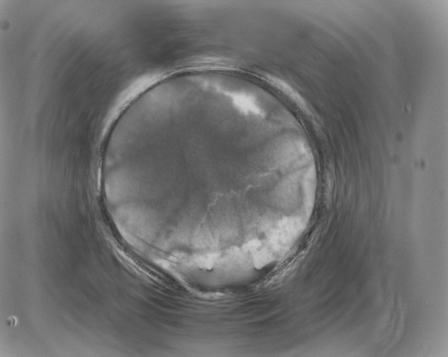 X0000086081413200704202140