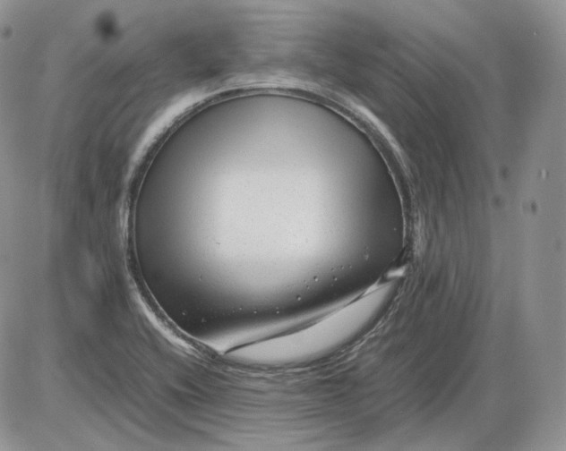 X0000086081416200704202140