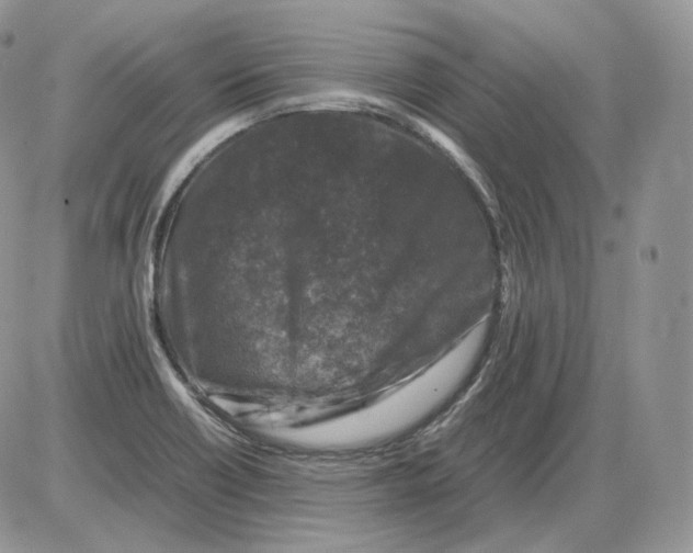 X0000086081418200704202140