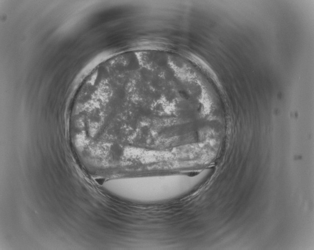 X0000086081419200704202140