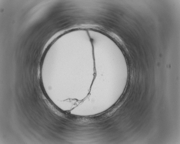 X0000086081420200704202140