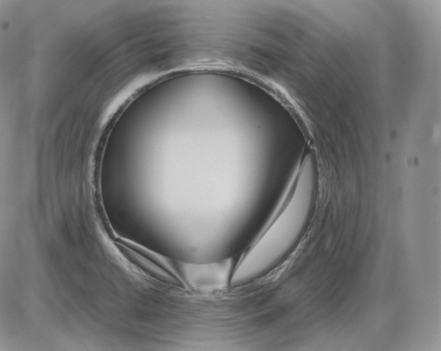 X0000086081422200704202140