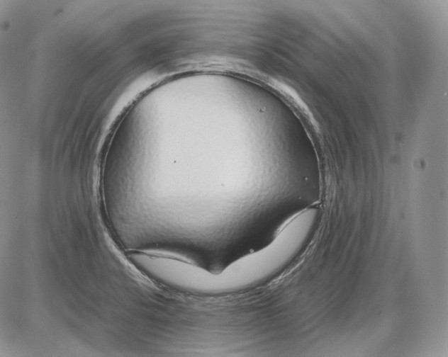 X0000086081424200704202140