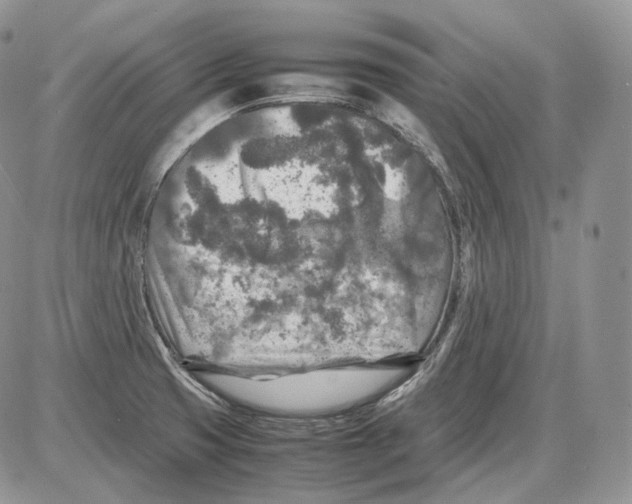 X0000086081425200704202140