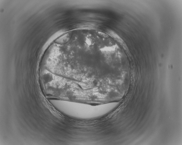 X0000086081427200704202140