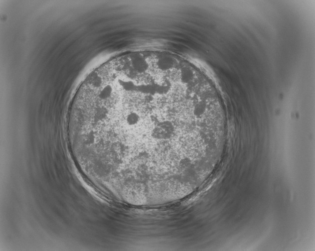 X0000086081429200704202140