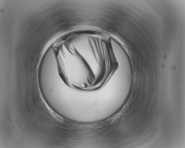 X0000086081430200704202140