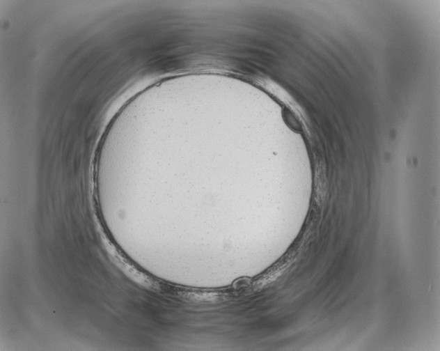 X0000086081431200704202140