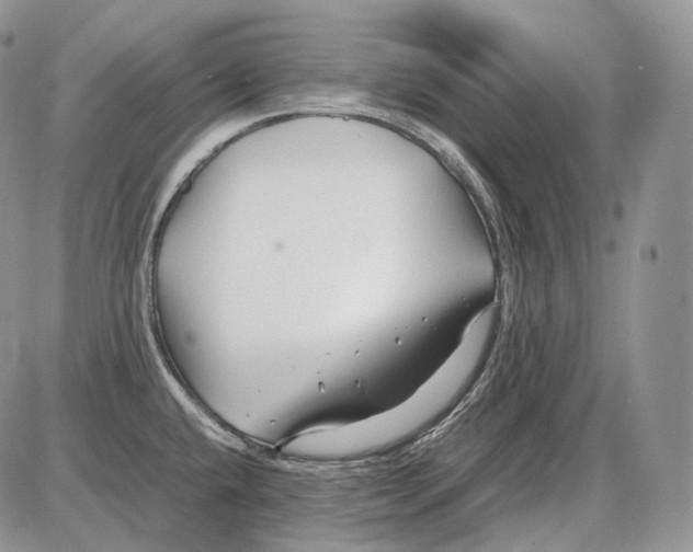 X0000086081432200704202140