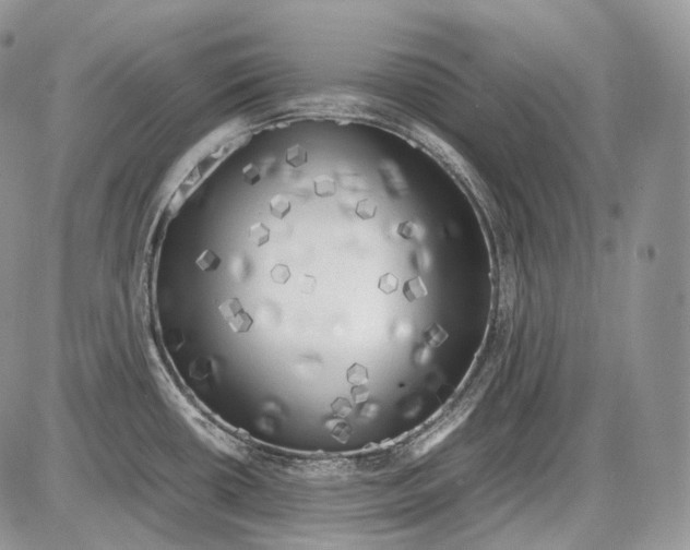 X0000086081434200704202140