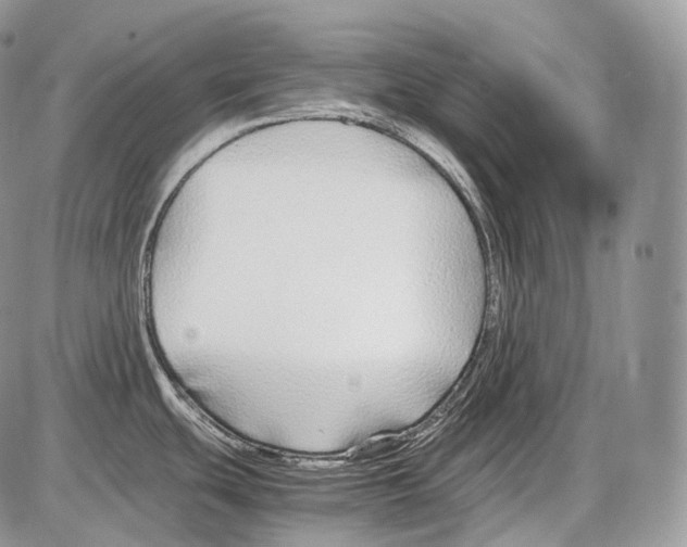 X0000086081439200704202140