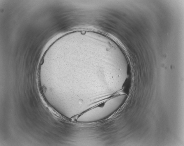 X0000086081440200704202140