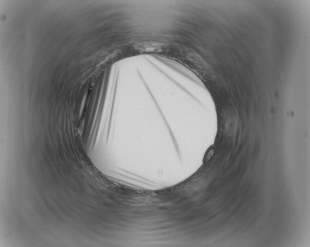 X0000086081442200704202139