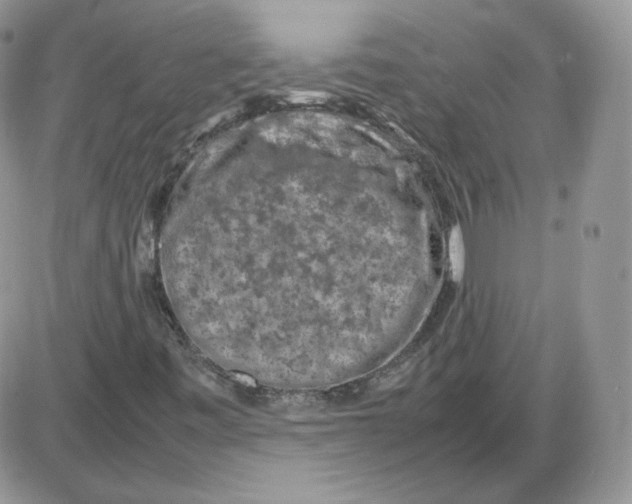 X0000086081443200704202139