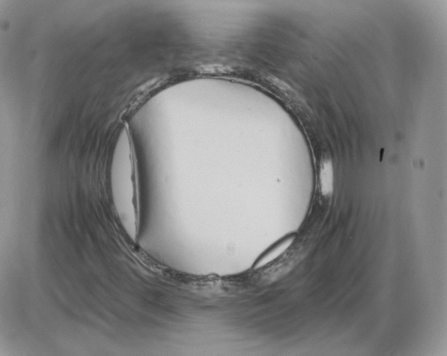 X0000086081444200704202139