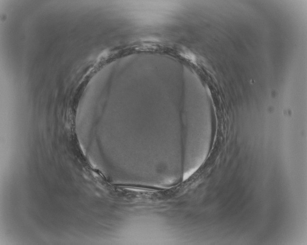 X0000086081445200704202139