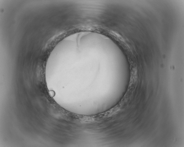 X0000086081446200704202139