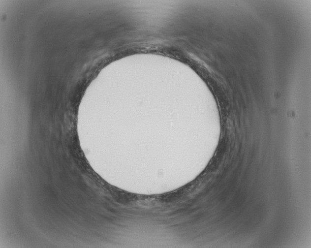 X0000086081447200704202139