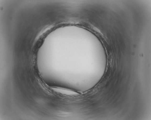 X0000086081448200704202139