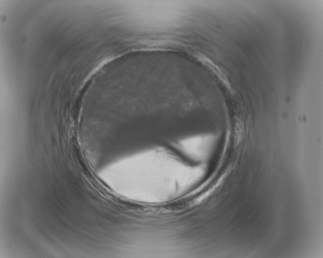 X0000086081449200704202139