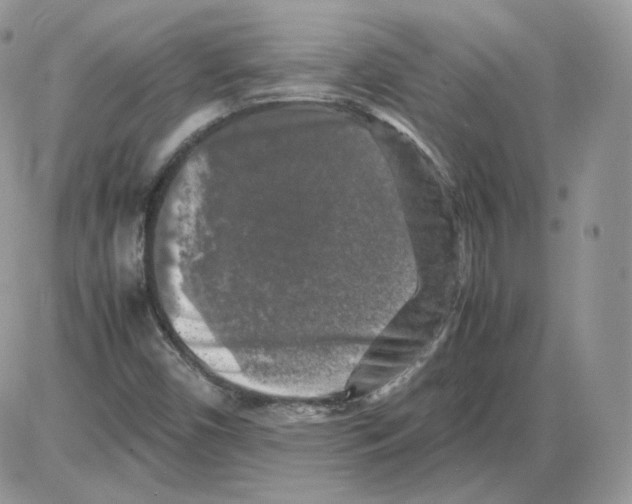 X0000086081450200704202139