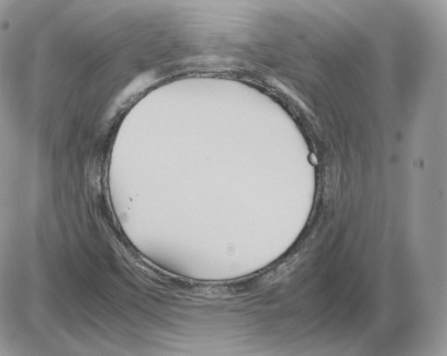 X0000086081451200704202139