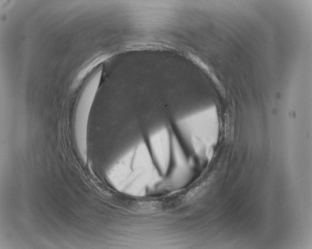 X0000086081453200704202139