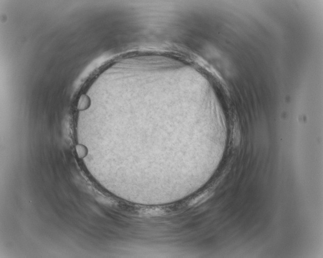 X0000086081454200704202139