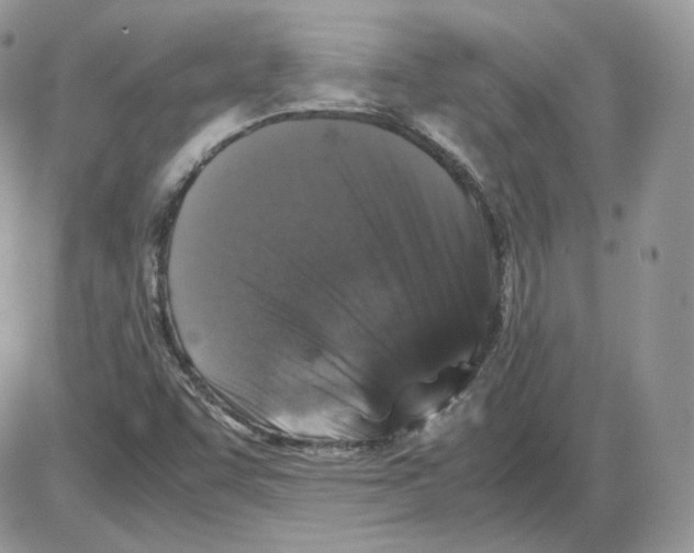 X0000086081455200704202139