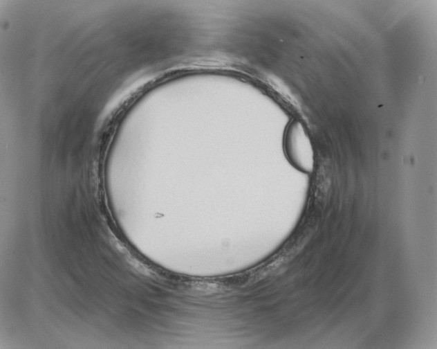 X0000086081456200704202139