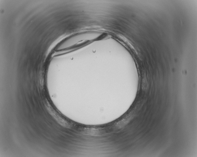 X0000086081458200704202139