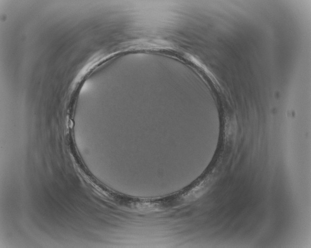 X0000086081459200704202139