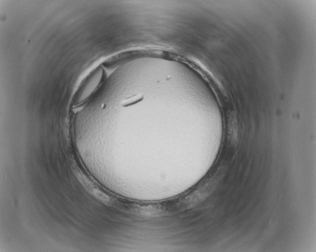 X0000086081460200704202139