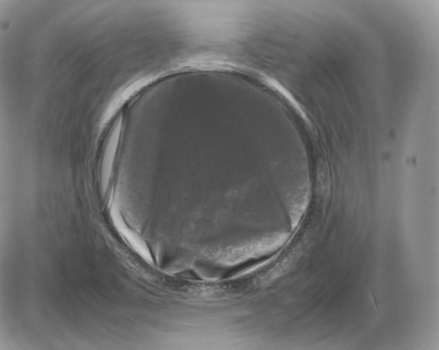 X0000086081461200704202139