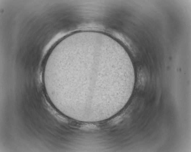 X0000086081462200704202139