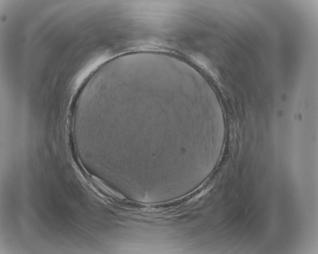 X0000086081463200704202139