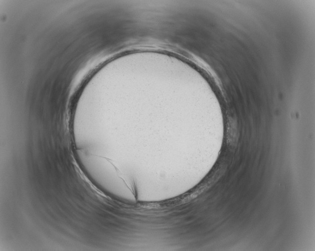 X0000086081464200704202139