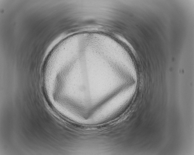 X0000086081467200704202139