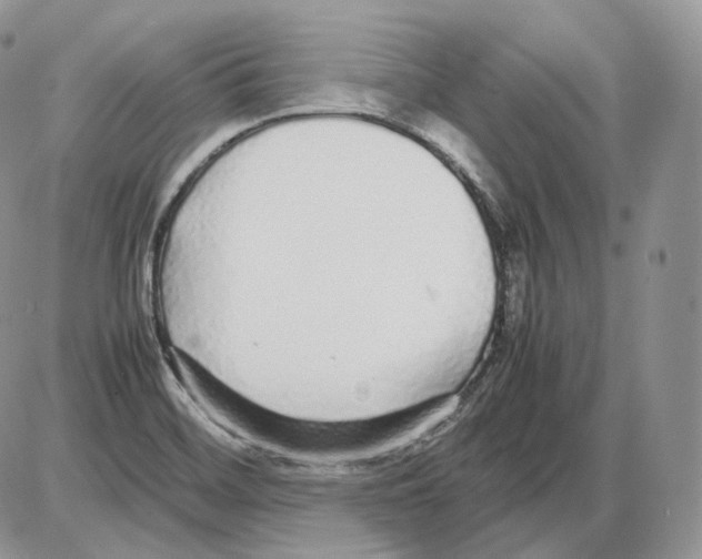 X0000086081468200704202139