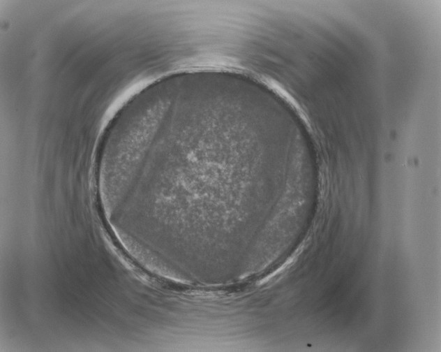 X0000086081469200704202139