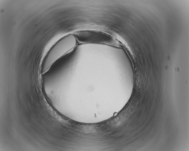 X0000086081472200704202139