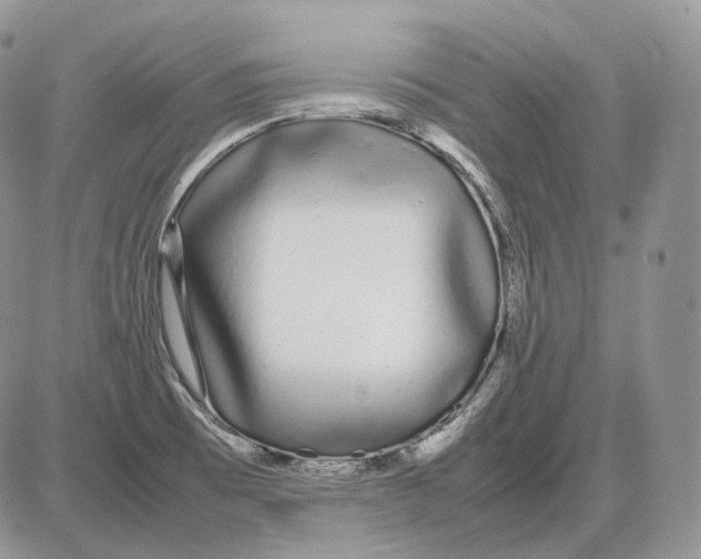 X0000086081473200704202139