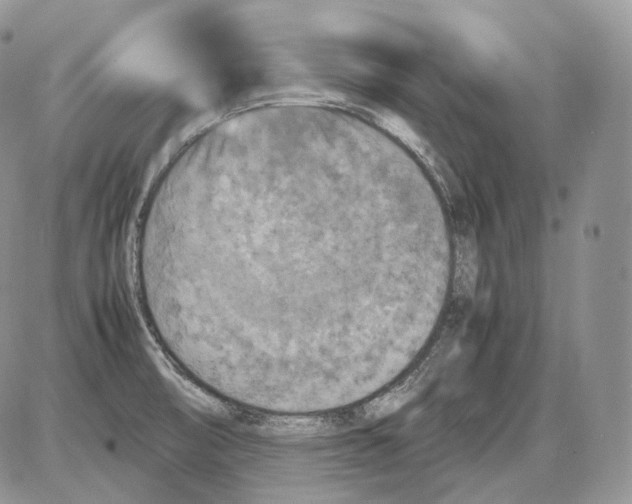 X0000086081474200704202139