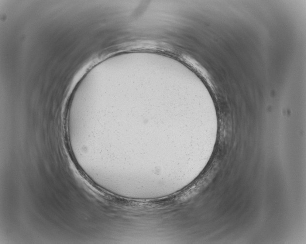 X0000086081475200704202139