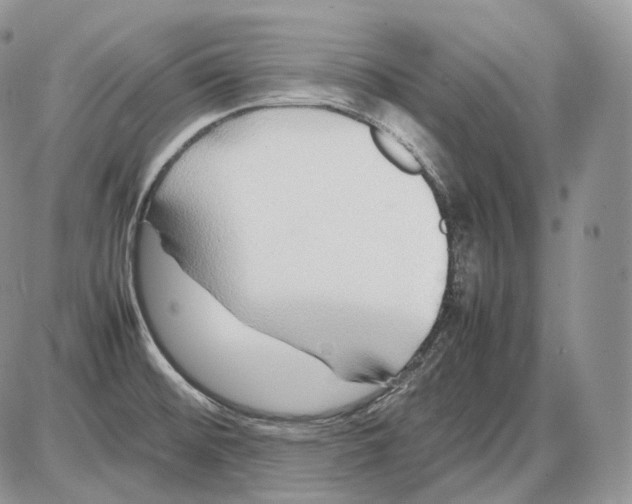 X0000086081476200704202139