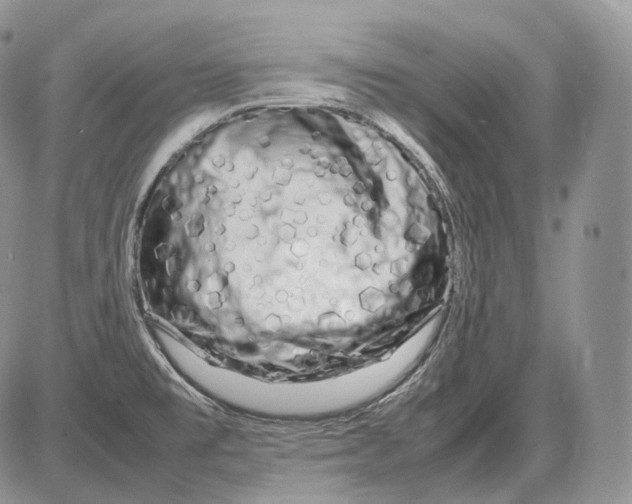 X0000086081477200704202139