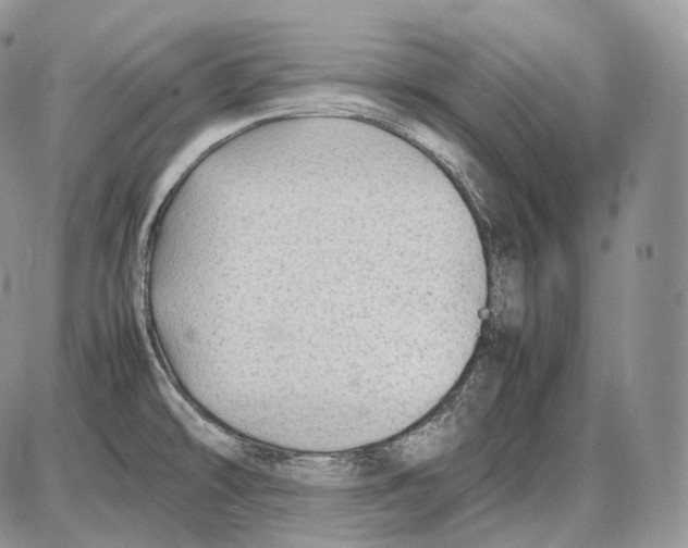 X0000086081478200704202139