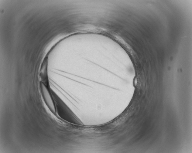 X0000086081479200704202139