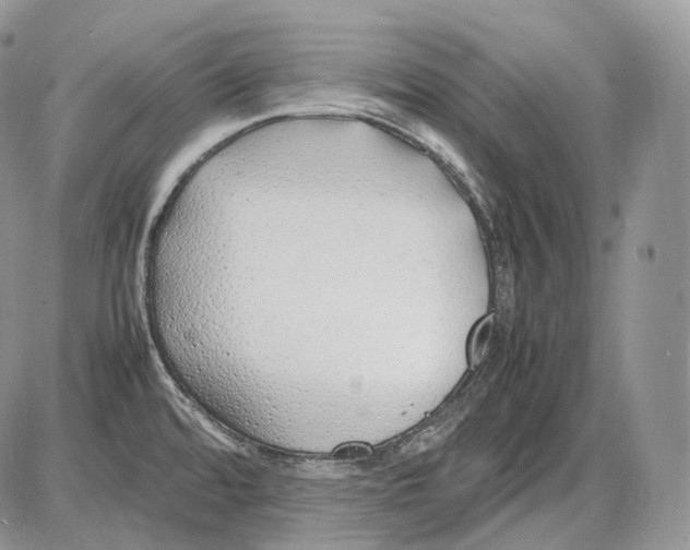 X0000086081480200704202139