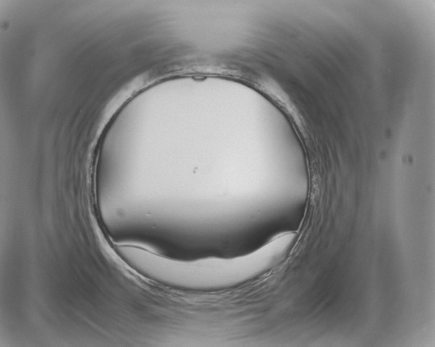 X0000086081483200704202139